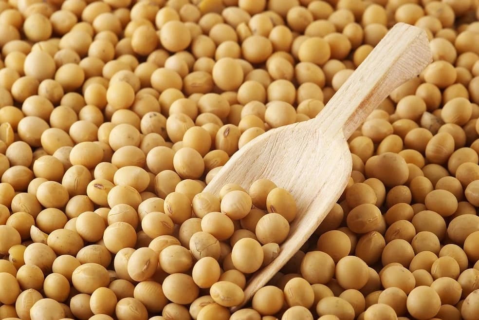 15 Foods to Eat if You Want Your Hair to Grow Faster