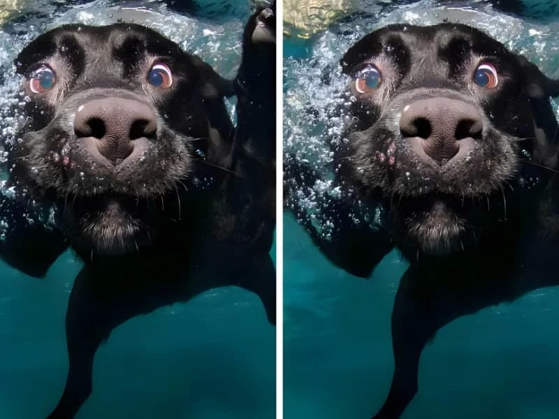 15 Hilarious Photos That Will Have You Crying with Laughter