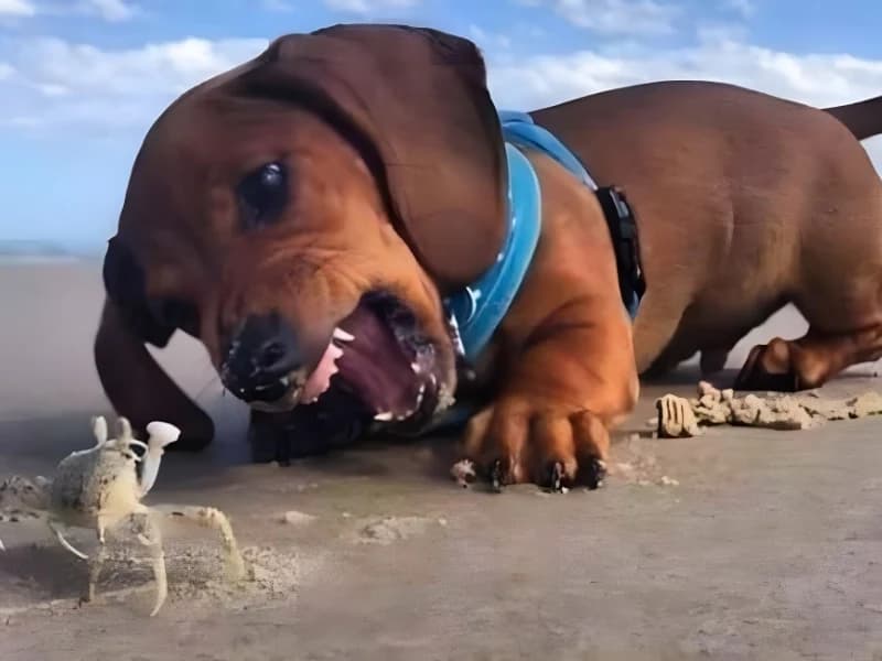 15 Hilarious Photos That Will Have You Crying with Laughter