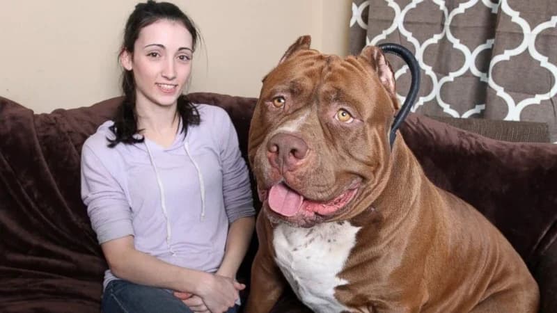 15 Hilarious Photos That Will Have You Crying with Laughter
