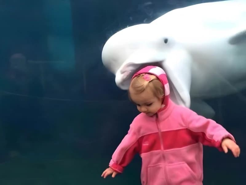 15 Hilarious Photos That Will Have You Crying with Laughter