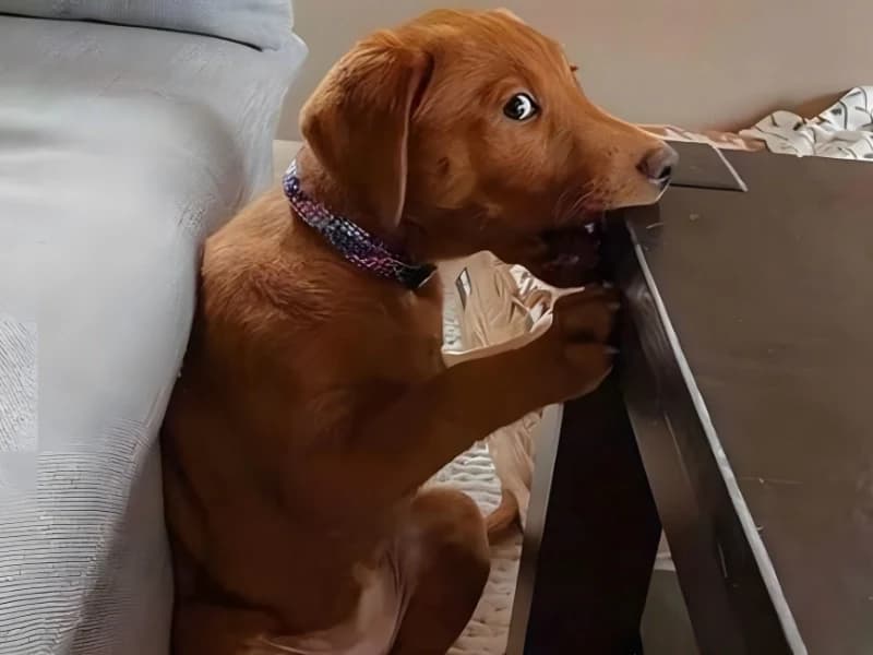 15 Hilarious Photos That Will Have You Crying with Laughter