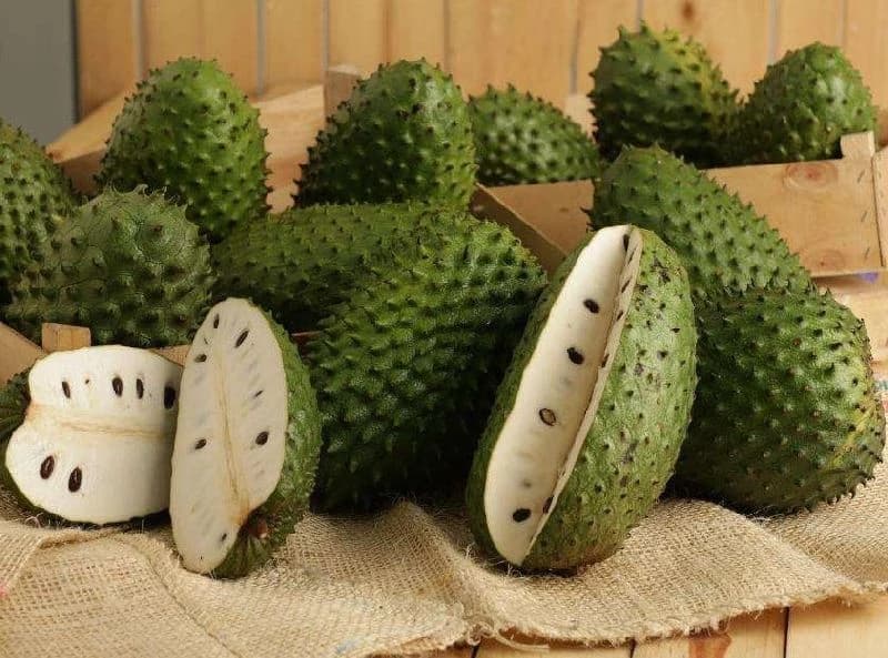 15 Natural Ways to Prevent Cancer