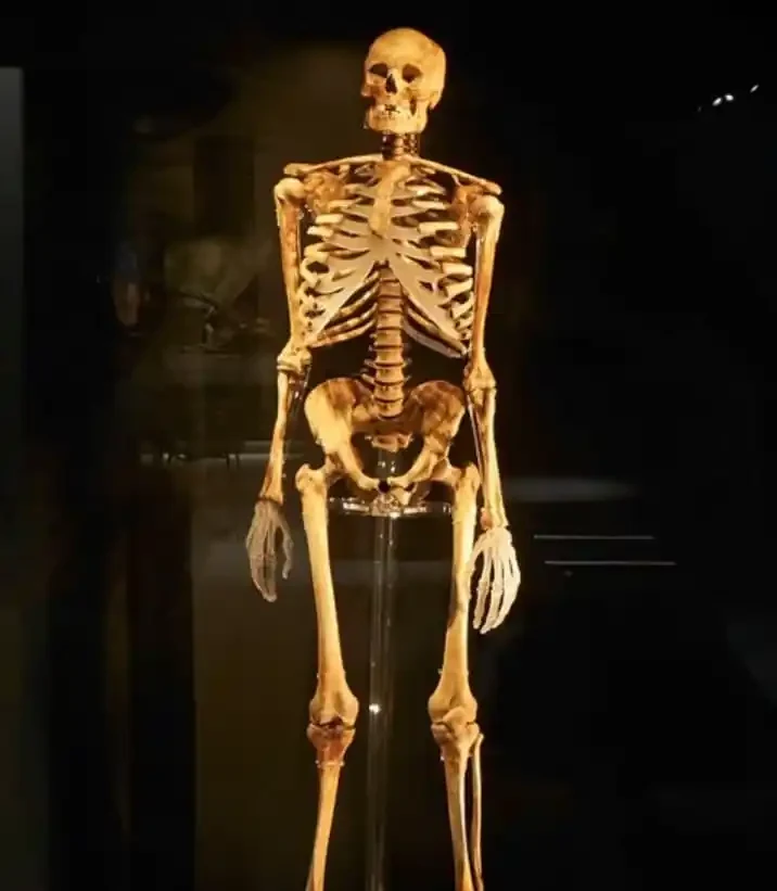 Mary Rose Archer
