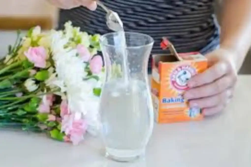 Baking Soda