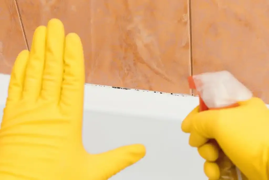 Remove Mold And Mildew