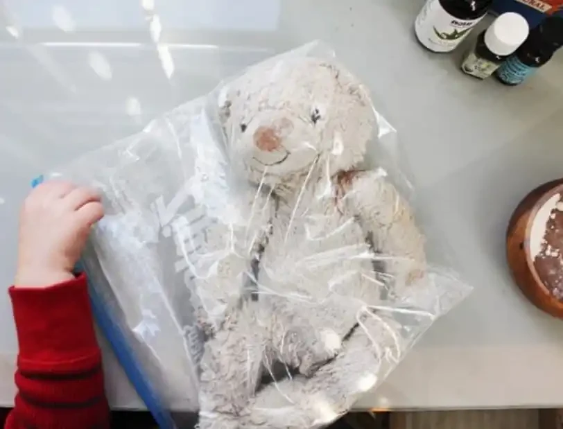 Clean Children's Toys