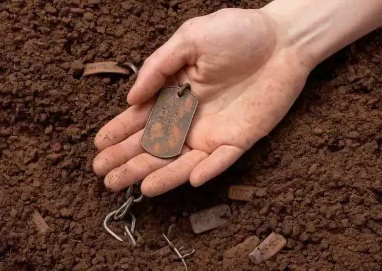 Old Dog Tags