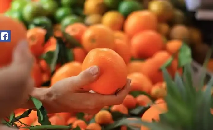 Oranges