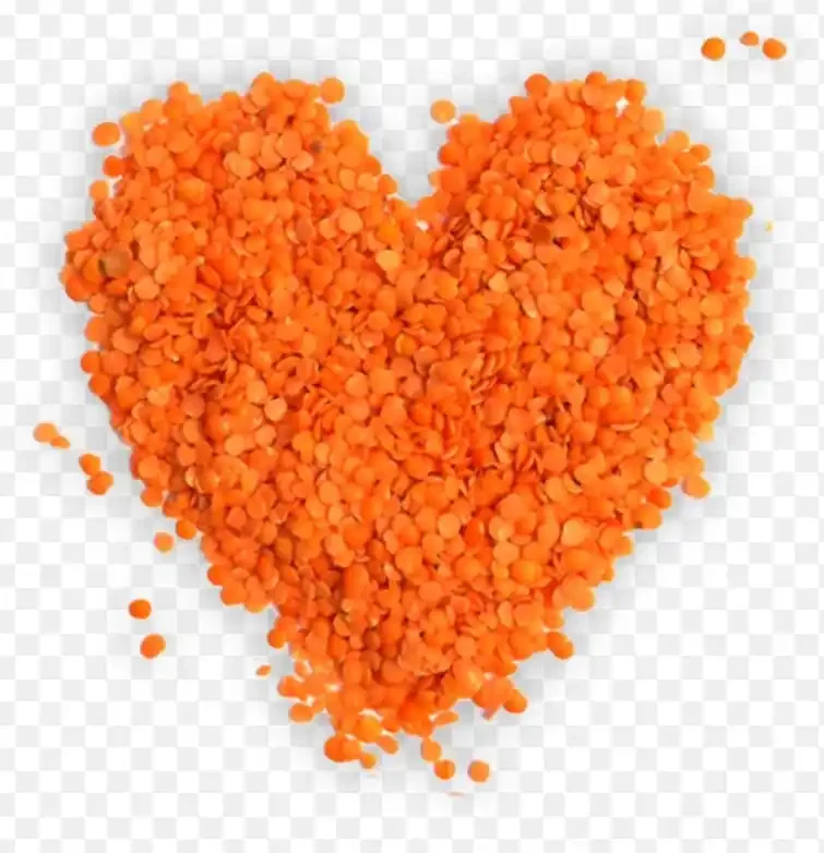 Lentils1