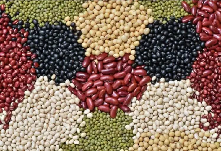Beans