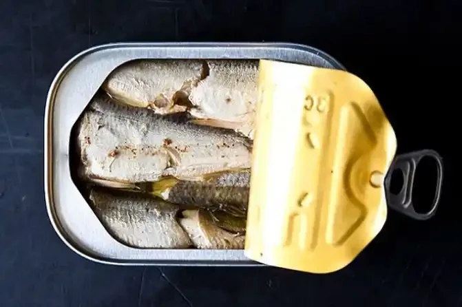 Sardines