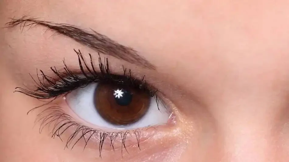 Slim Eyebrows