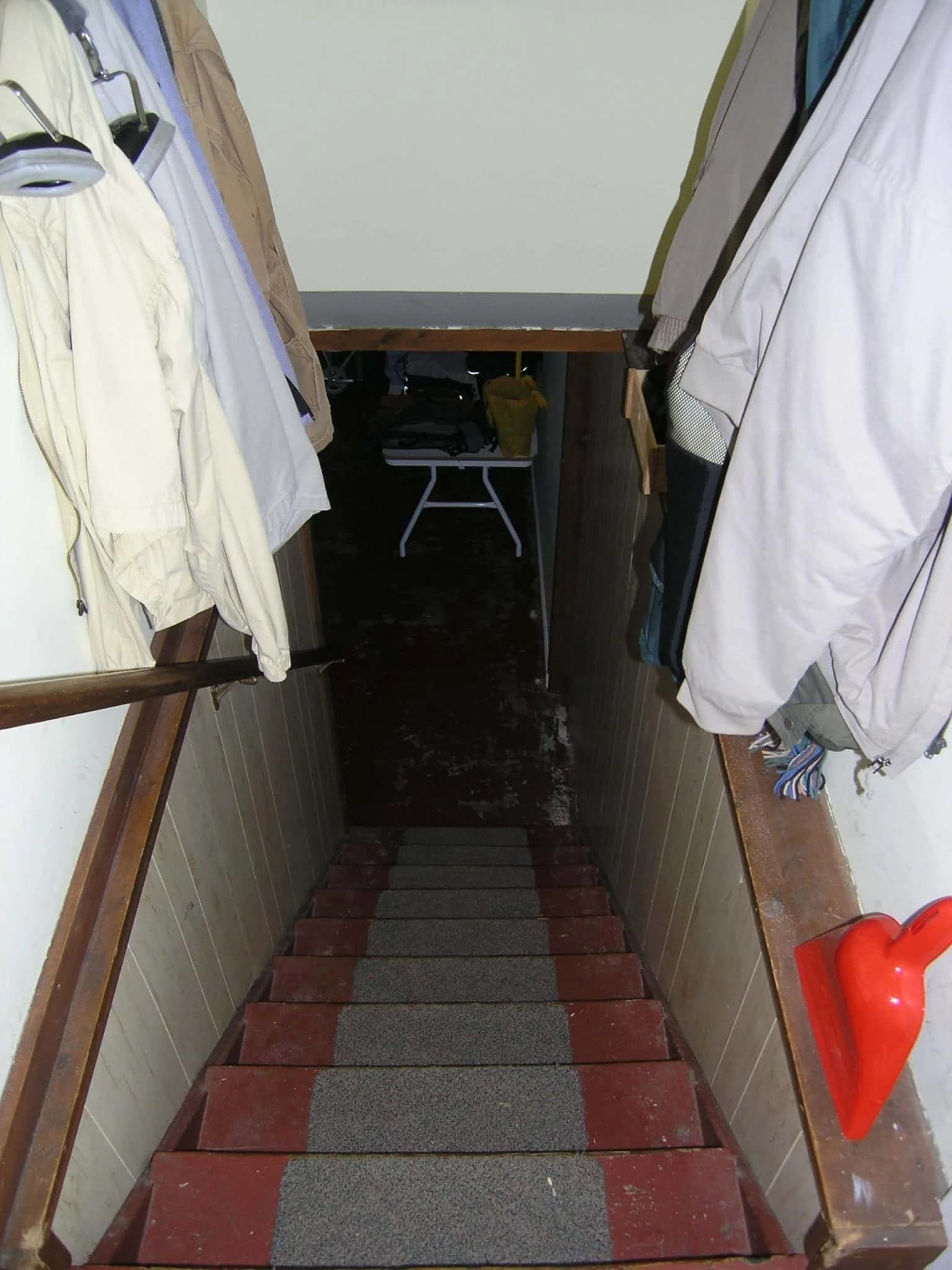 He Went To His Relative’s House To Fetch The Cat, But There Was Something Else In There…