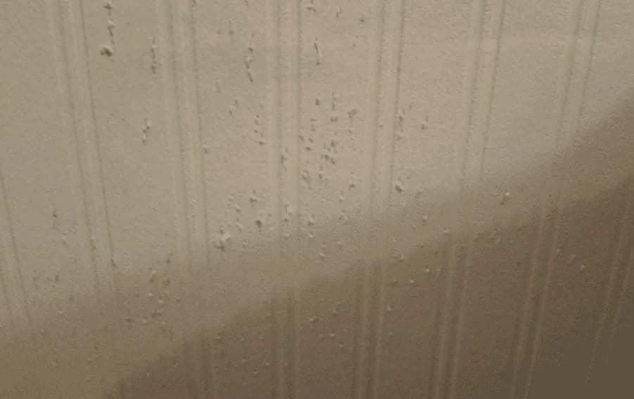 He Went To His Relative’s House To Fetch The Cat, But There Was Something Else In There…