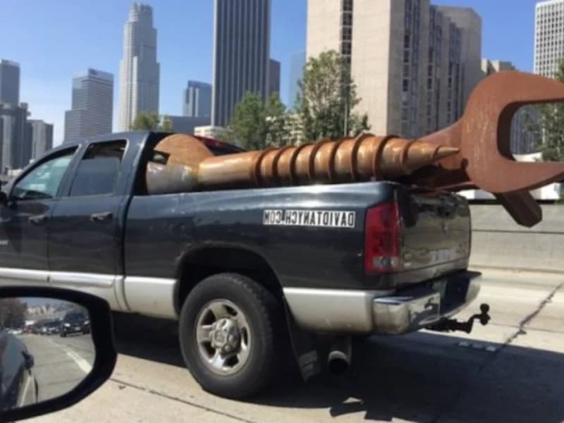 Hilarious Moments When Animals Take Complete Control