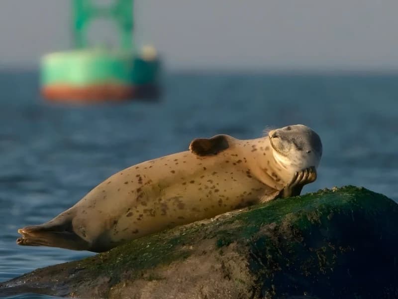 Hilarious Moments When Animals Take Complete Control