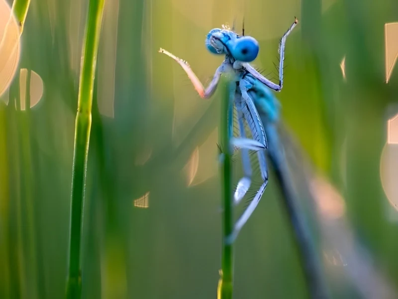 Hilarious Moments When Animals Take Complete Control