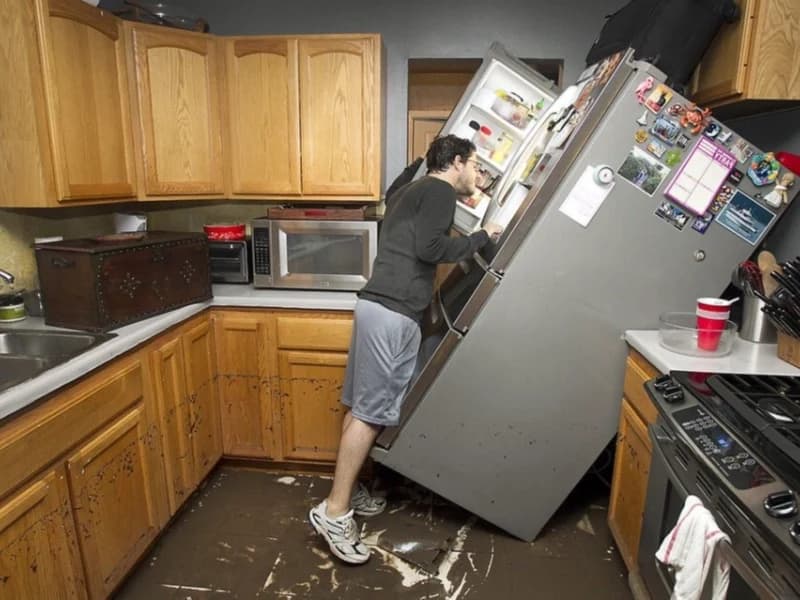Hilarious Moments When Animals Take Complete Control
