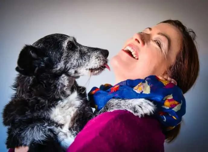 Why Dogs Lick