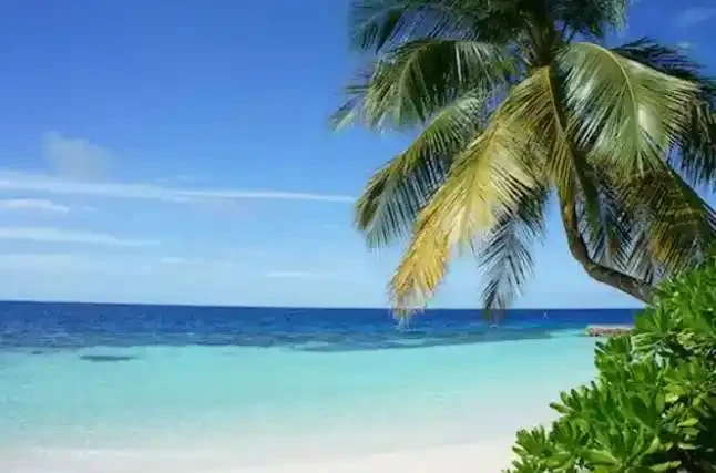 Vacation Time