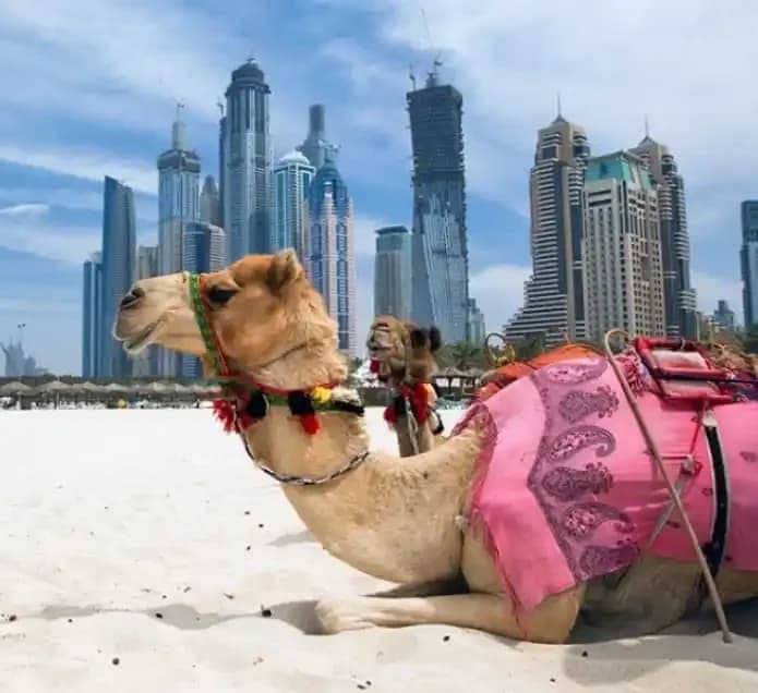 Most Tourists Didn’t Know These Breathtaking Places In Dubai