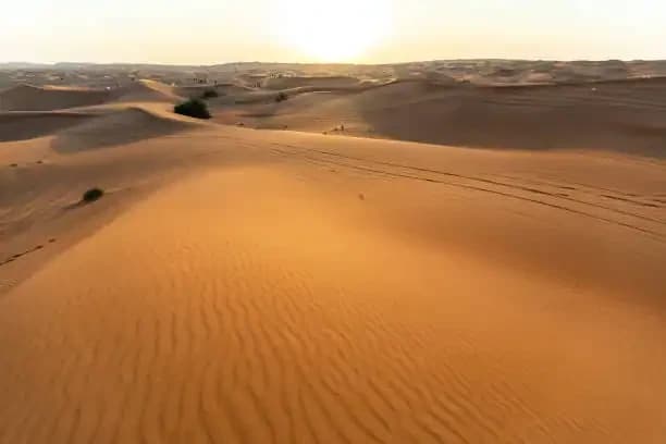 The Dubai Desert Conservation Reserve