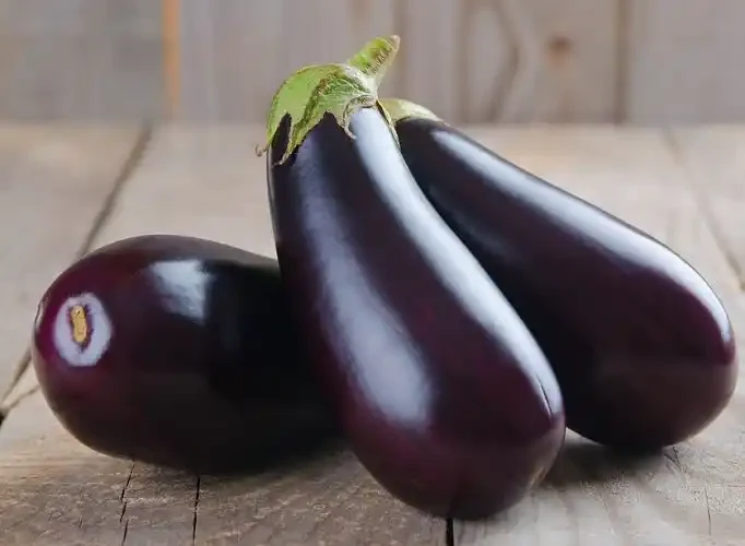 Eggplant