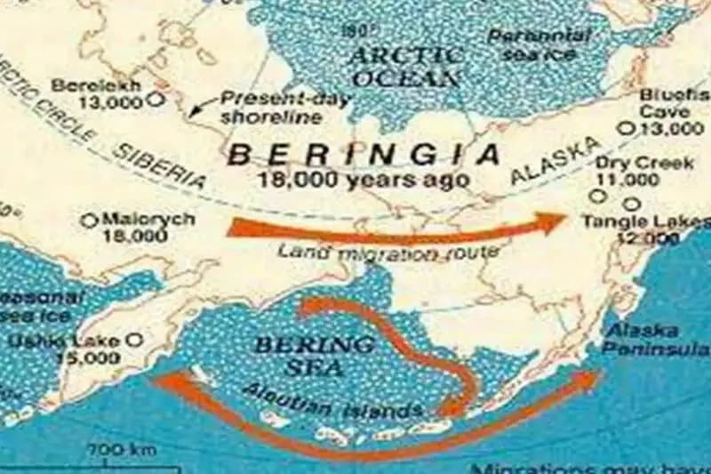 Perhaps They Split Before Beringia