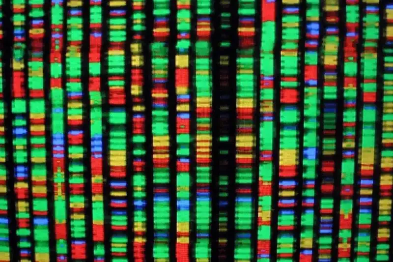 Can Your DNA Change