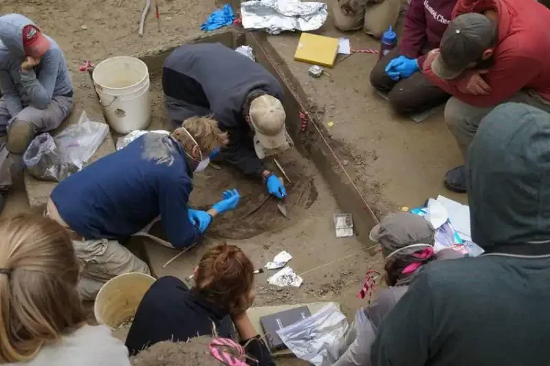 Finally, They Found The Skeletons Of Two Infants