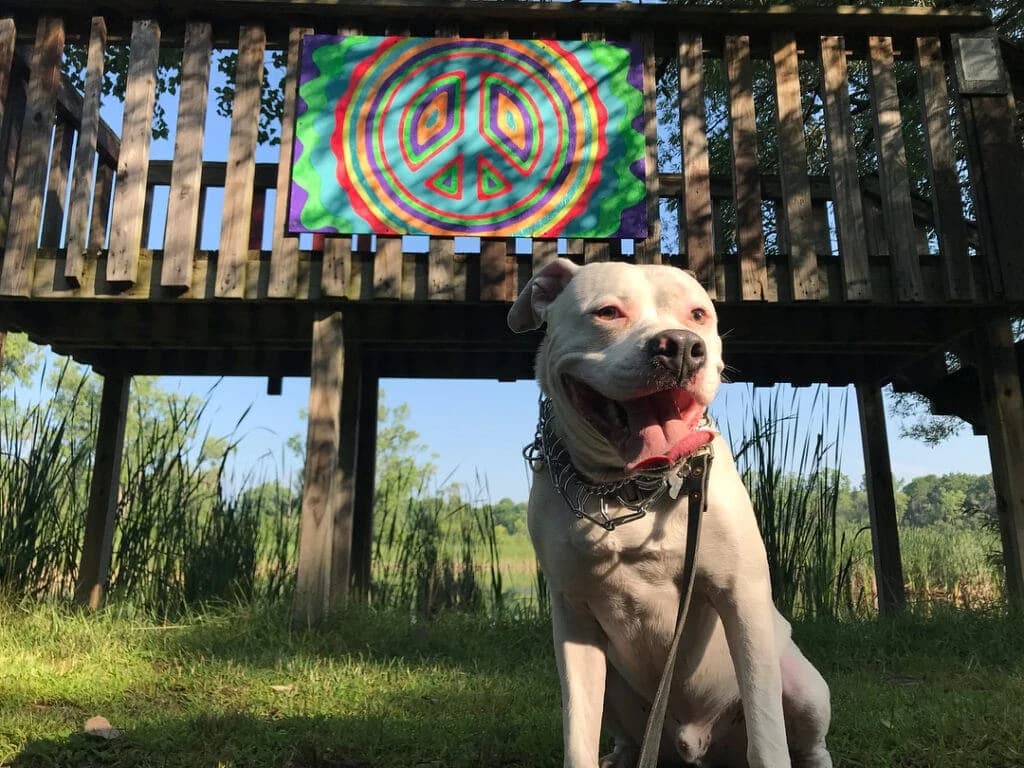 This Man Took a Selfie With His Dog And The Police Showed Up Immediately