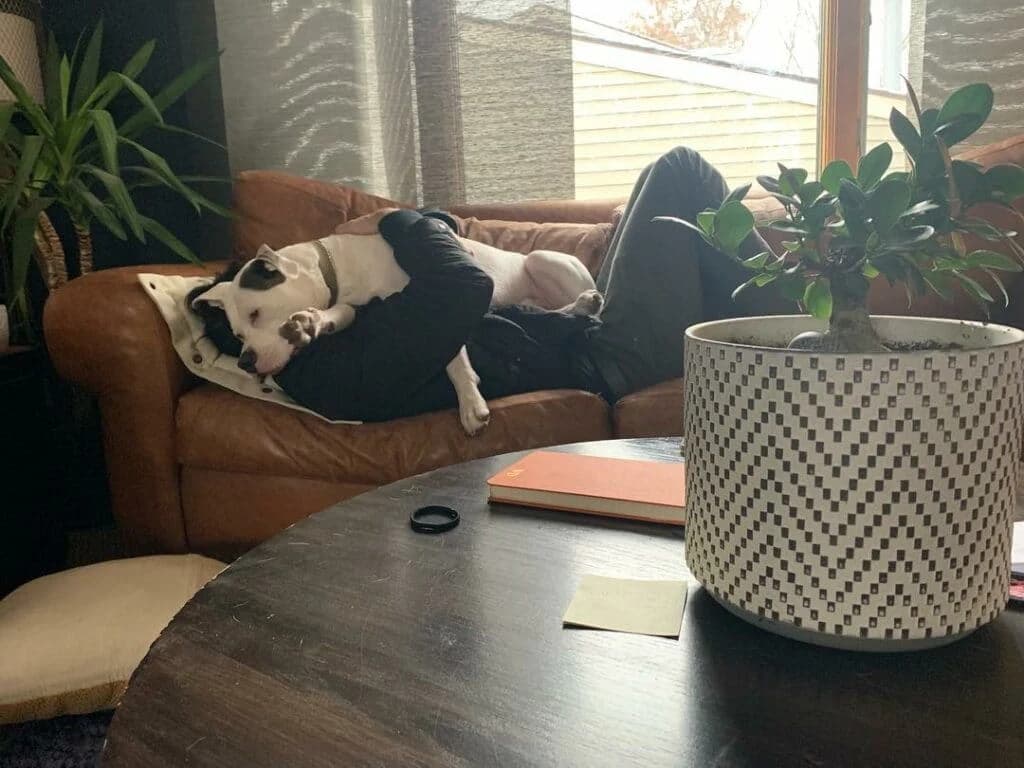 This Man Took a Selfie With His Dog And The Police Showed Up Immediately