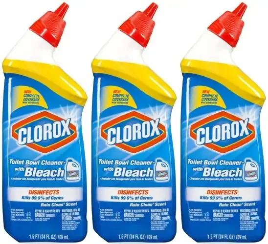Remove And Clean Grout Just By Using A Toilet Bowl Cleaner