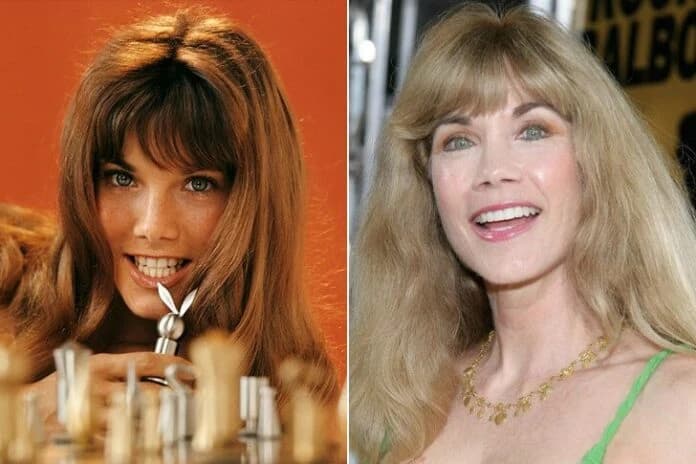Timeless Beauty: Celebrities Who Have Retained Their Stunning Looks Throughout the Years