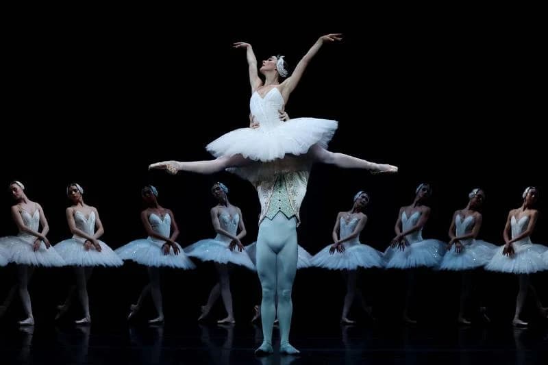 Swan Lake Media Call